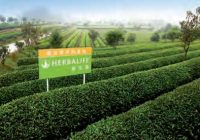 New Products : Herbalife Launches Green Tea and Cinnamon Tea Concentrate