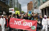 Seeds Of Death – The Lies about GMO in Foods
