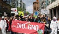 Seeds Of Death – The Lies about GMO in Foods